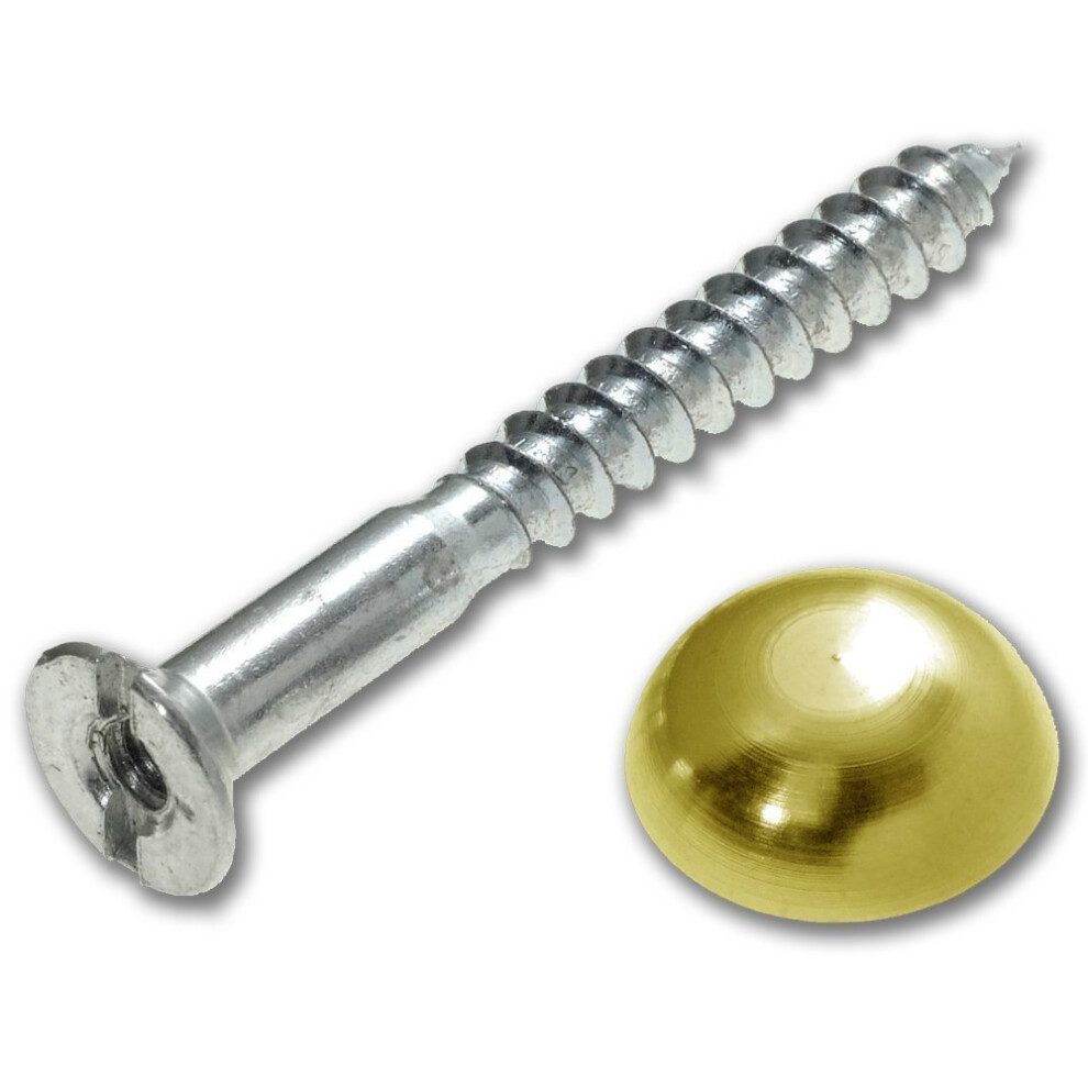 Bulk Hardware Bh02142 Mirror Screw Cap Covers With Brass Dome And Washers, 38Mm (1.1/2 Inch) - Pack Of 4 5013249359889