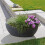 Scheurich 55371 0 253/58 Granite Trough - Black 2