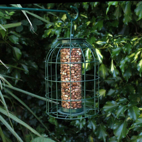 Natures Market BF008N Squirrel Guard Hanging Nut Feeder (1) 2