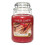 Yankee Candle Yankee Candle Large Jar Candle, Sparkling Cinnamon 1