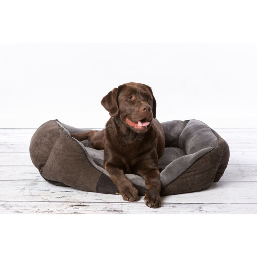 Scruffs Scruffs Chester Box Bed Graphite 90 x 70 cm 1