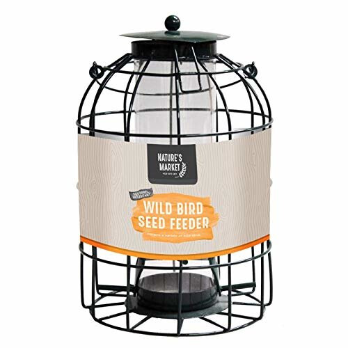Natures Market BF008S Seed Feeder with Squirrel Guard - Green Powder-Coated Bird Seed Feeder