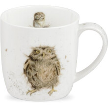Wrendale by Royal Worcester "Wrendale What A Hoot Mug, Multi-Colour