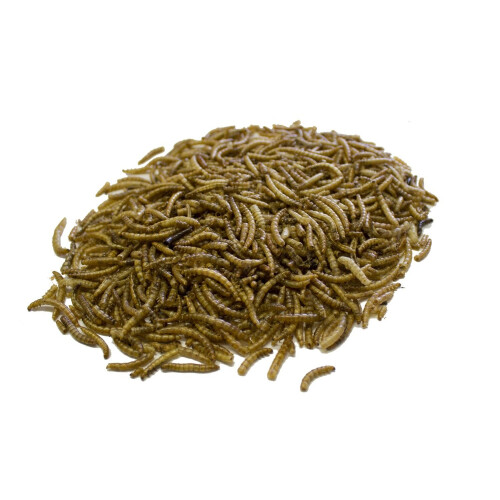 Extra Select Mealworms Tub 1ltr 2