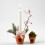 Flower Pots, D: 7 cm, 24 pcs 2