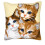 Vervaco Kittens Cross Stitch Cushion, Multi-Colour 1