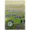 Yorkshire Tea Yorkshire Gold Tea, 80 Tea Bags 3
