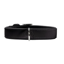 Hunter Softie Collar, Medium, Black