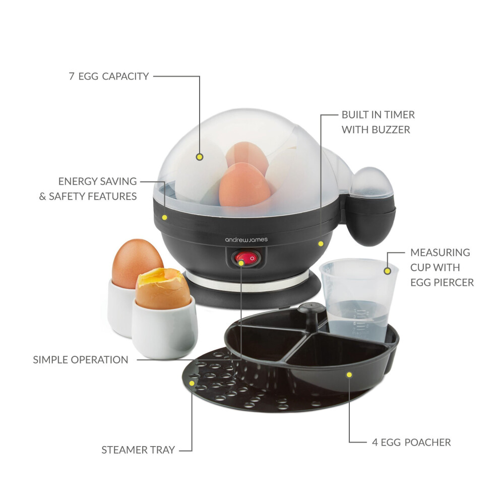 Electric egg store boiler with timer