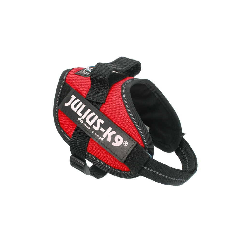 Julius-K9 16IDC-R-MM IDC Powerharness, Dog Harness, Size Mini-Mini, Red