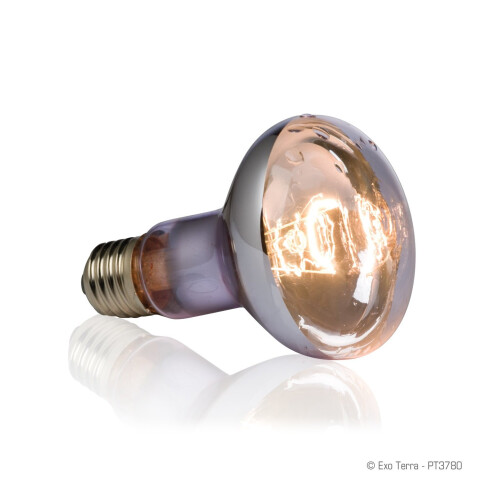Exo Terra Swamp Basking Spot Bulb, 50 Watt 1