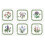 Pimpernel Pimpernel Botanic Garden Coasters - Set of 6 1