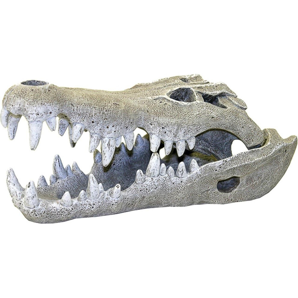 Rosewood Nile Crocodile Skull Aquarium Decor, Small