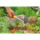 WOLF Garten Wolf-Garten LN2K Double Hoe 7cm 2