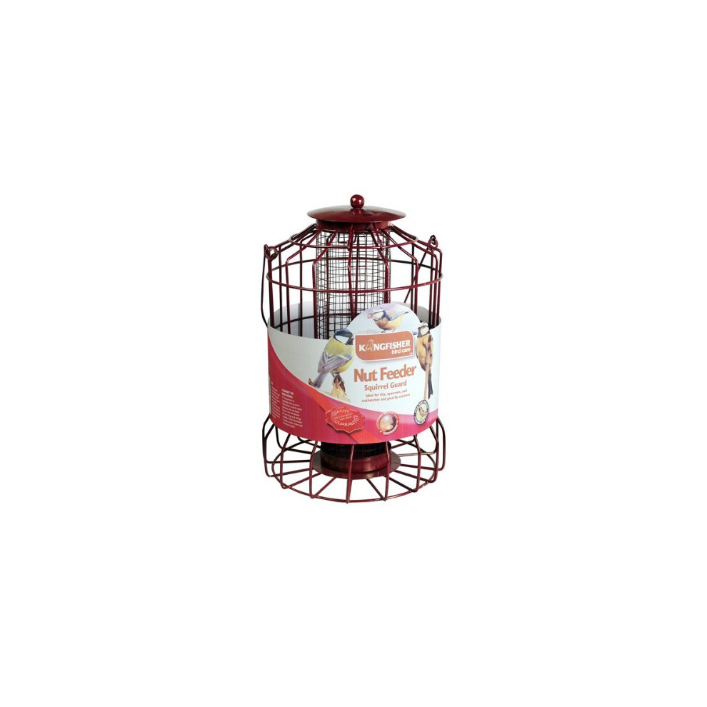 Natures Market BF007 Squirrel Guard Nut Wild Bird Feeder