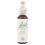 Bach Original Flower Remedies - Oak 20ml-packaging may vary 2