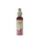 Bach Original Flower Remedies - Pine 20ml-packaging may vary 1