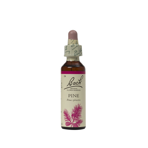 Bach Original Flower Remedies - Pine 20ml-packaging may vary