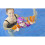 Zoggs Zoggs Babies Safe Float Arm Bands - Orange, Under 1 Years 6