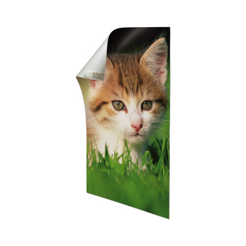 3M Command 17024 Poster Mounting Adhesive Strips - White, Pack of 1 2