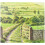 Yorkshire Tea Yorkshire 160 Tea Bags, 500 g 5