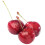 Westmark Cherry Stoner, Silver 4