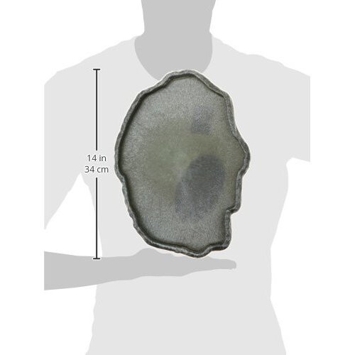 Zoo Med FD-50 Repti Rock Feed Dish, XL 2