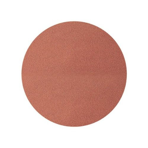wolfcraft Wolfcraft Sanding Discs for Sander Grain 24, Pack of 5), 2242100