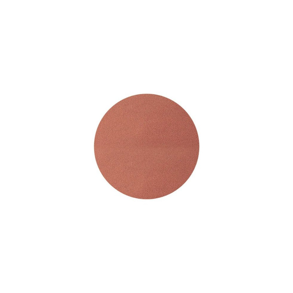 Wolfcraft Sanding Discs For Sander 24, Pack Of 5), 2242100 Grain