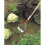 WOLF Garten Wolf-Garten RFM 15 Multi-Change Push-Pull Weeder 3