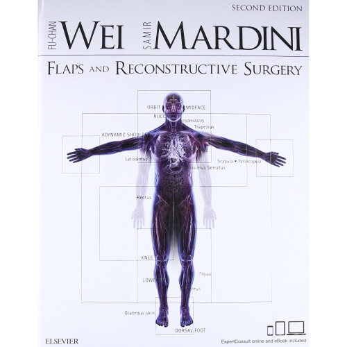 Flaps and Reconstructive Surgery, 2e
