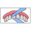 X-Ribbon Dental Gauze Floss 12m ROLL 7