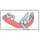 X-Ribbon Dental Gauze Floss 12m ROLL 6