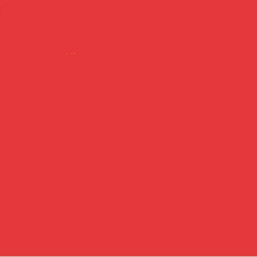 Moleskine Large Squared Notebook Red (Moleskine Srl) 1