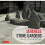 Japanese Stone Gardens: Origins, Meaning, Form 1