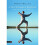 A Tai Chi Imagery Workbook: Spirit, Intent, and Motion 1