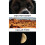 Dog Run Moon: Stories 1