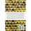 The Beginner's Bee Book 2