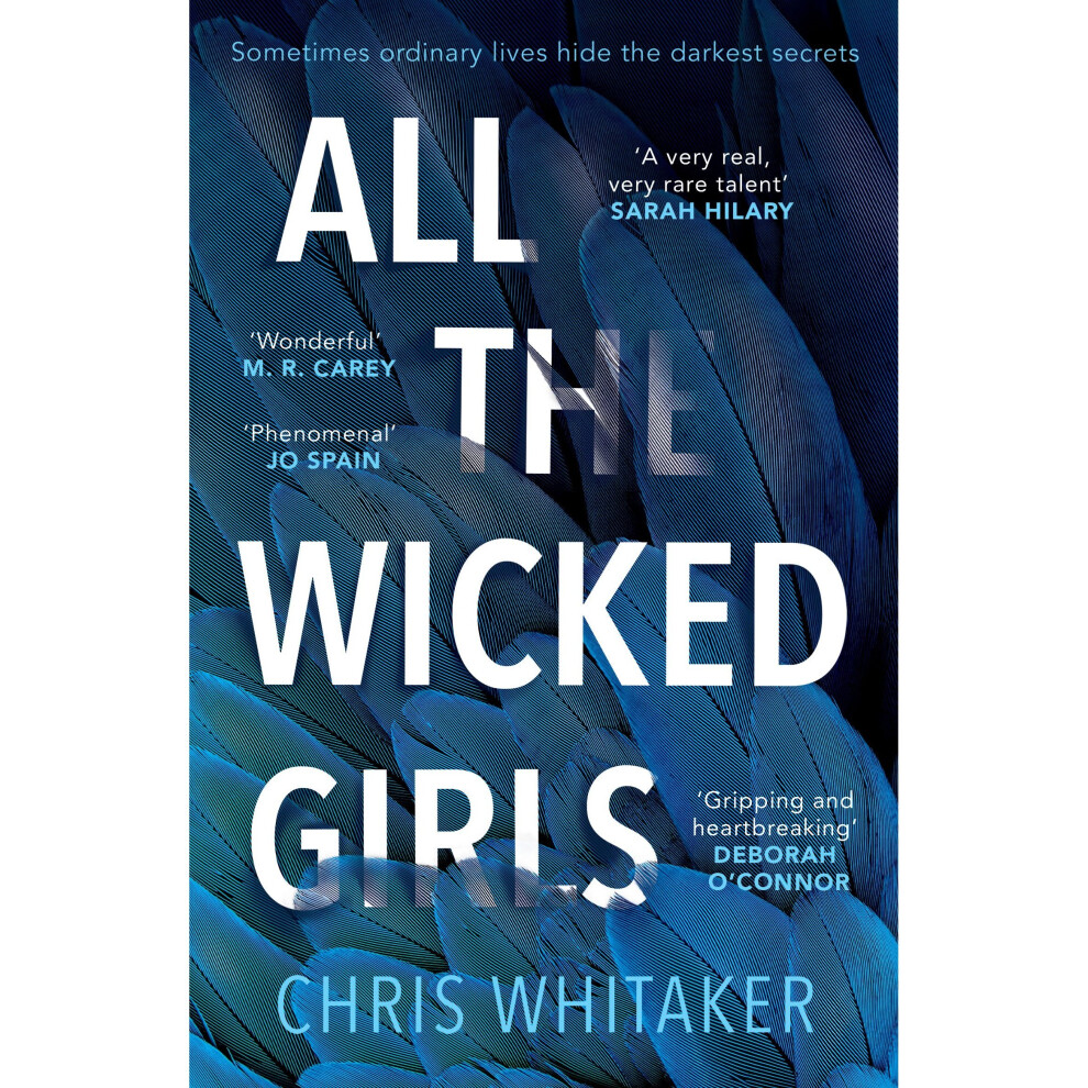 All The Wicked Girls: The addictive thriller with a huge heart, for fans of Lisa Jewell