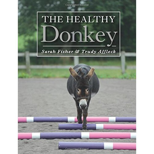 The Healthy Donkey