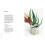 Prick: Cacti and Succulents: Choosing, Styling, Caring 7