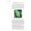 Leaf Beetles (Naturalists Handbooks) 7