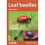 Leaf Beetles (Naturalists Handbooks) 1