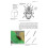 Leaf Beetles (Naturalists Handbooks) 2