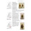 Leaf Beetles (Naturalists Handbooks) 4