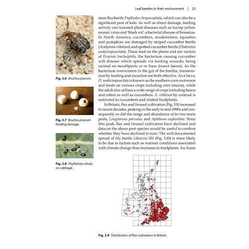 Leaf Beetles (Naturalists Handbooks) 2
