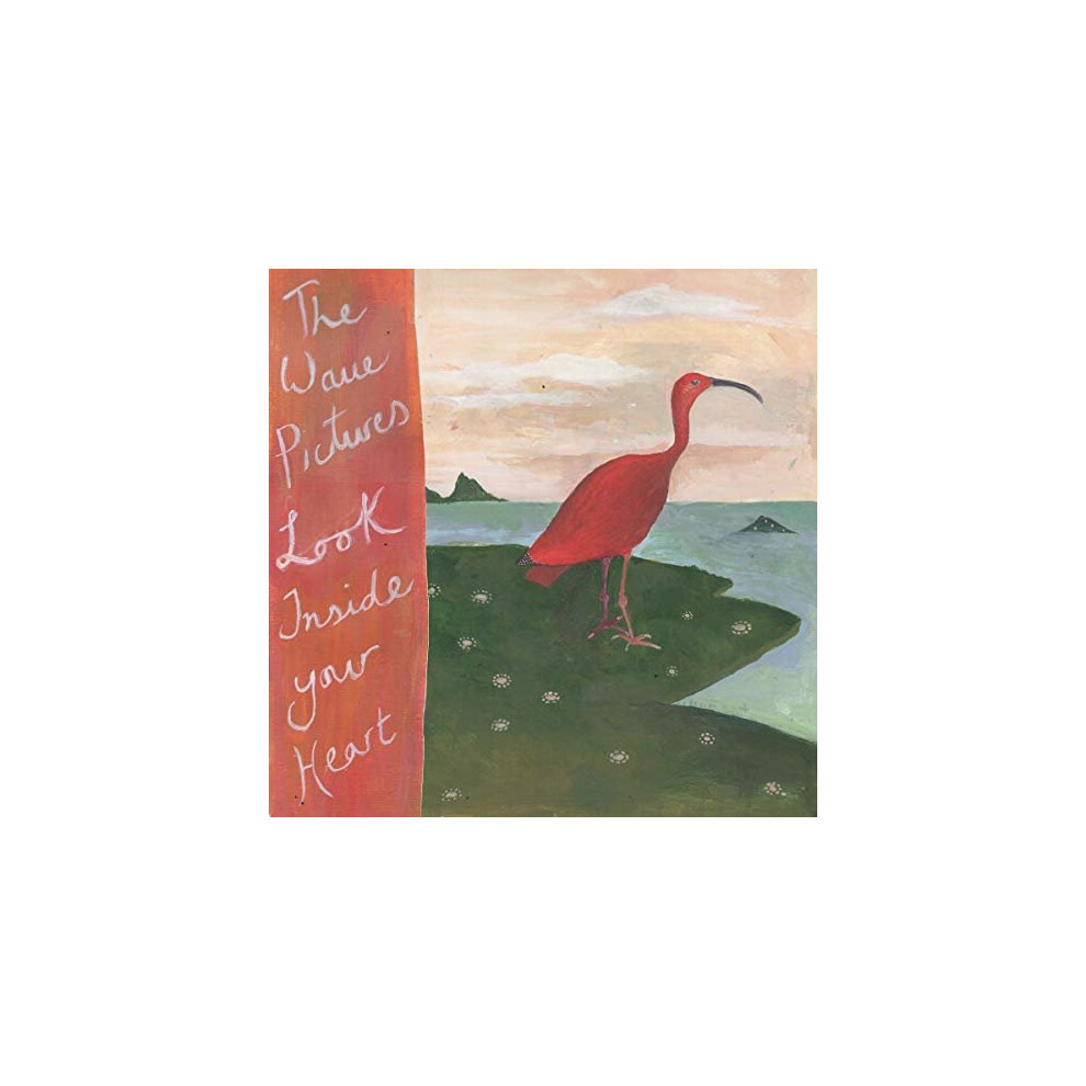 THE WAVE PICTURES - LOOK INSIDE YOUR HEART [CD]