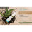doTERRA Doterra Clear Skin Topical Blend Roll On 10ml 2