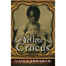 Yellow Crocus