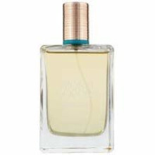 Estee Lauder Bronze Goddess 100ml Eau Fraiche Skinscent Spray